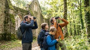 Découvrez nature et découvertes à écully